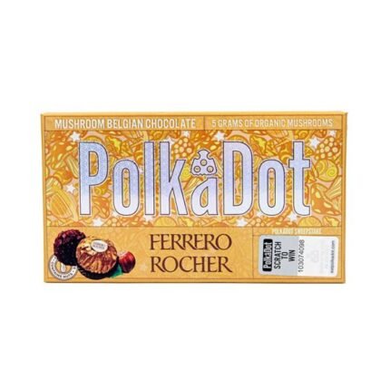 chocolate and mushroom