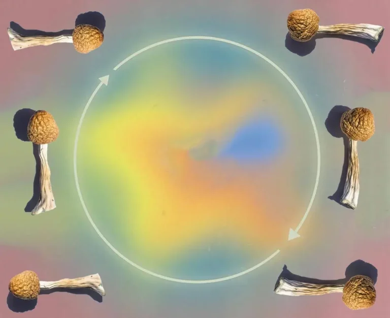 order authentic Magic Mushrooms from the official polkadot shop. Fast and secure delivery and open payment system 