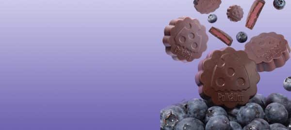 order authentic polkadot truffles from the official polkadot shop. Fast and secure delivery and open payment system