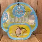 creatine gummies | Buy PolkaDot Pina Colada Gummies 4G