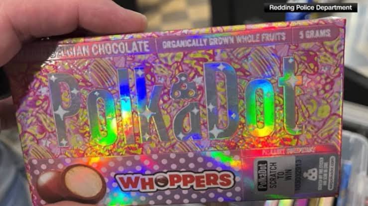 mushroom chocolate bars​